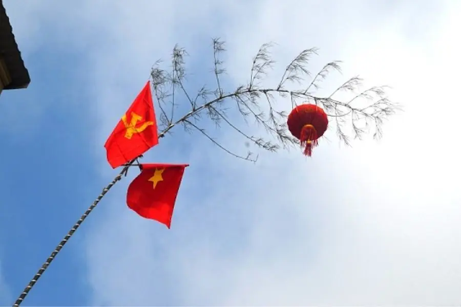 Cây nêu có trong tục ngữ là một đặc trưng của Tết Nguyên Đán.