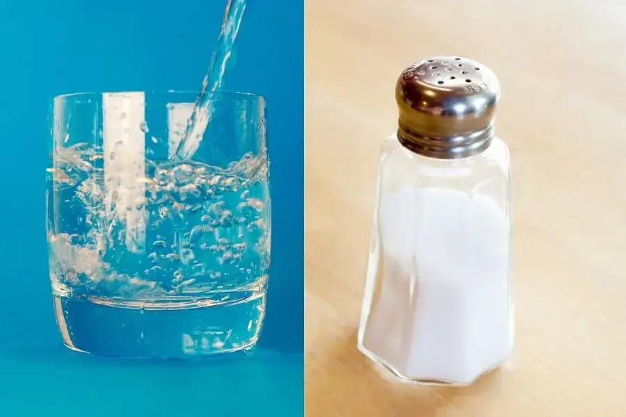 Muối không chỉ loại bỏ hiệu quả mà còn ngăn chúng lây lan.