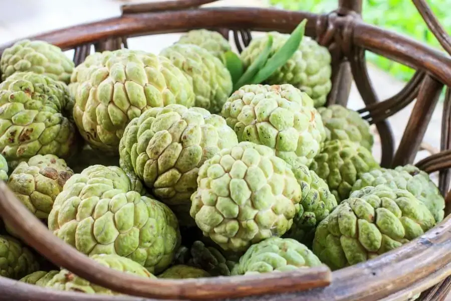 Một số lưu ý quan trọng khi ăn na bạn cần biết.
