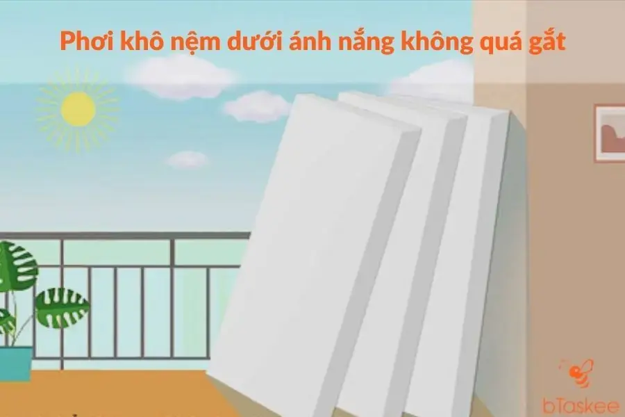 Phơi nệm khô dưới ánh nắng