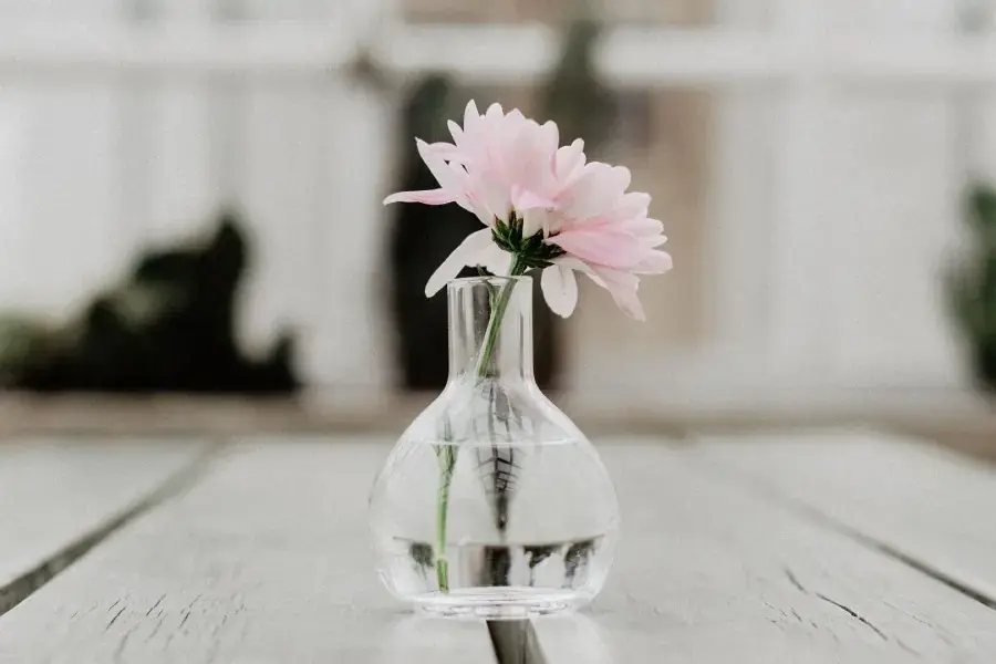 Cách làm hoa tươi trở lại bằng việc loại bỏ lá thừa ở cành hoa (Hình ảnh: Pinterest)