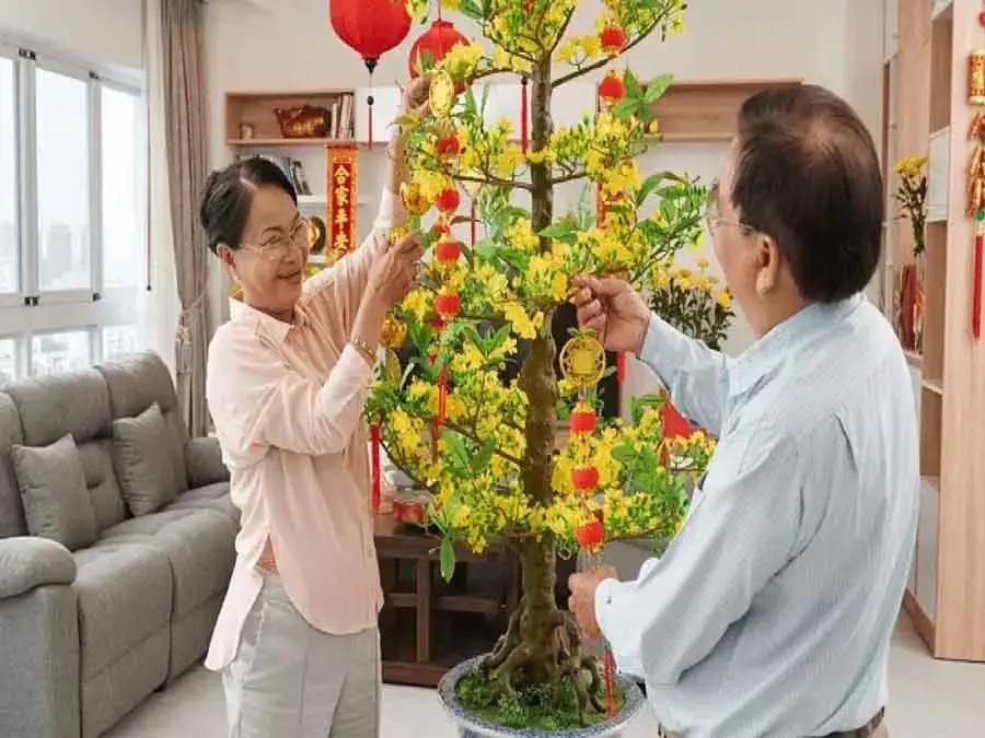 Chưng cây ngày Tết là thú vui không thể thiếu của người Việt khi chuẩn bị đón Tết.