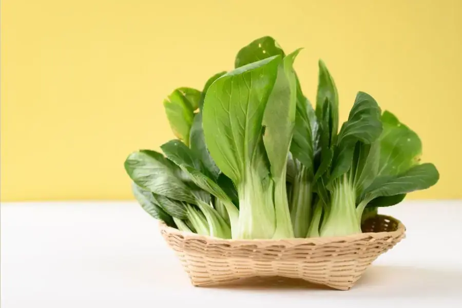 Cải thìa chứa ít calo hỗ trợ quá trình giảm cân