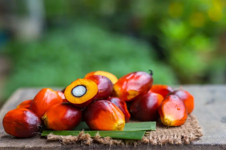 Sử dụng 100g quả chà là mỗi ngày giúp bổ sung thêm canxi tự nhiên.