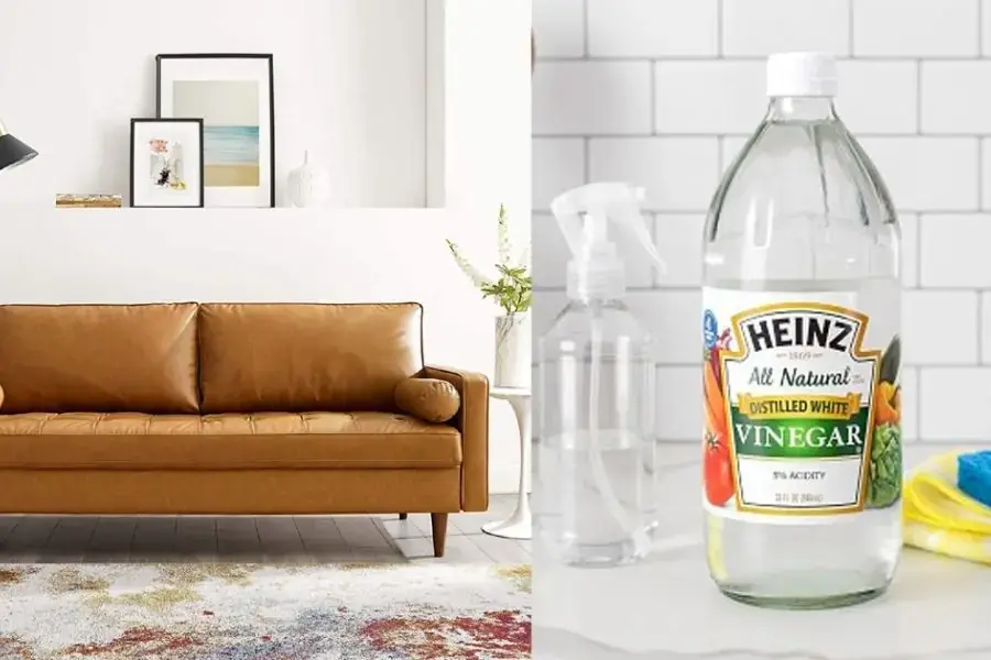 Giấm giúp làm sạch vết bẩn, khử mùi ghế sofa giả da vô cùng hiệu quả