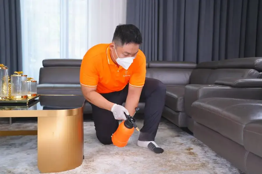 Đội ngũ CTV chuyên nghiệp được đào tạo nghiệp vụ bài bản.