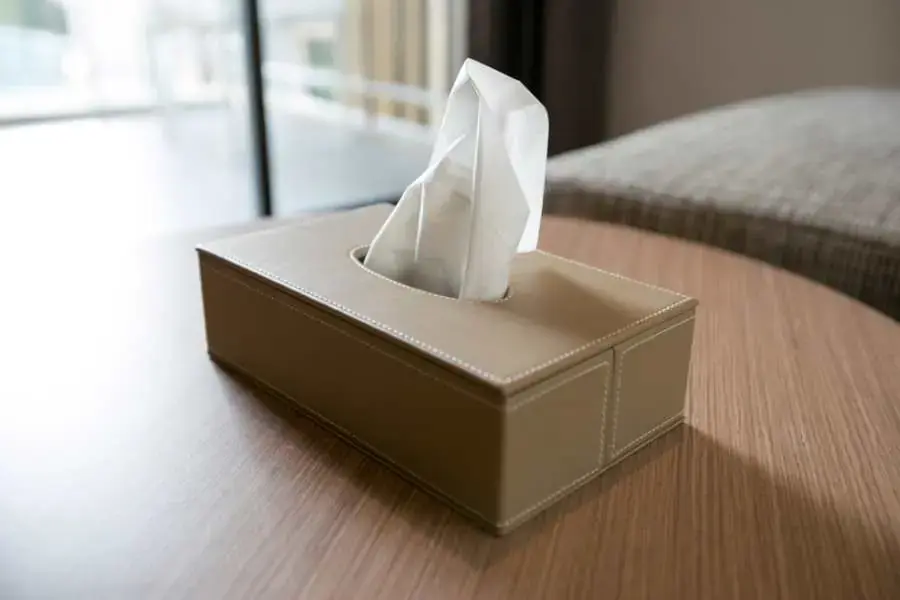 Làm sạch mảnh vỡ thủy tinh bằng khăn giấy (nguồn: Shutterstock.com)