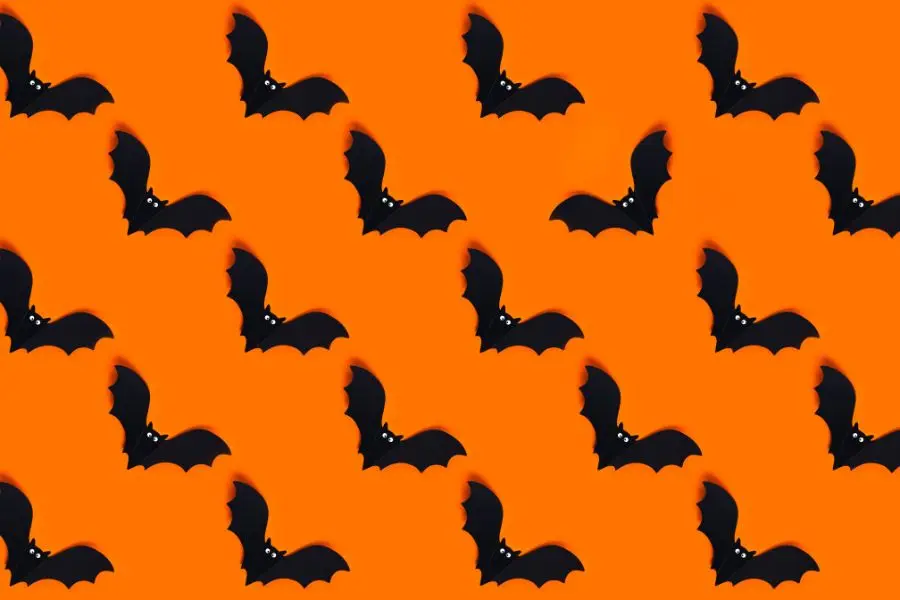 Làm hình dơi trang trí Halloween bằng giấy màu.