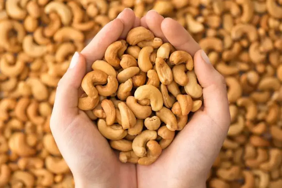 Trong 100g hạt điều có chứa khoảng 553 Kcal.
