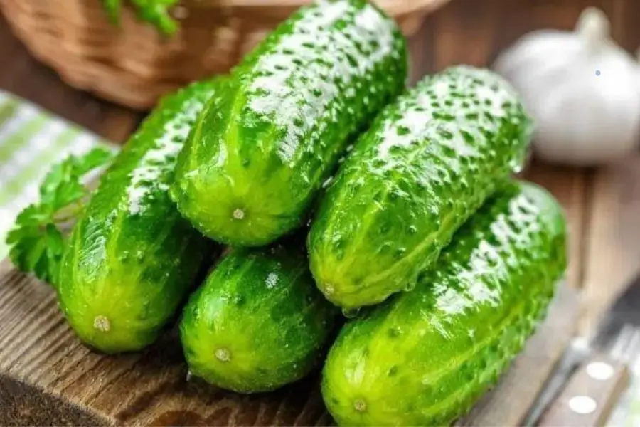 Chọn mua dưa chuột ngon, để đảm bảo chất lượng và hương vị.