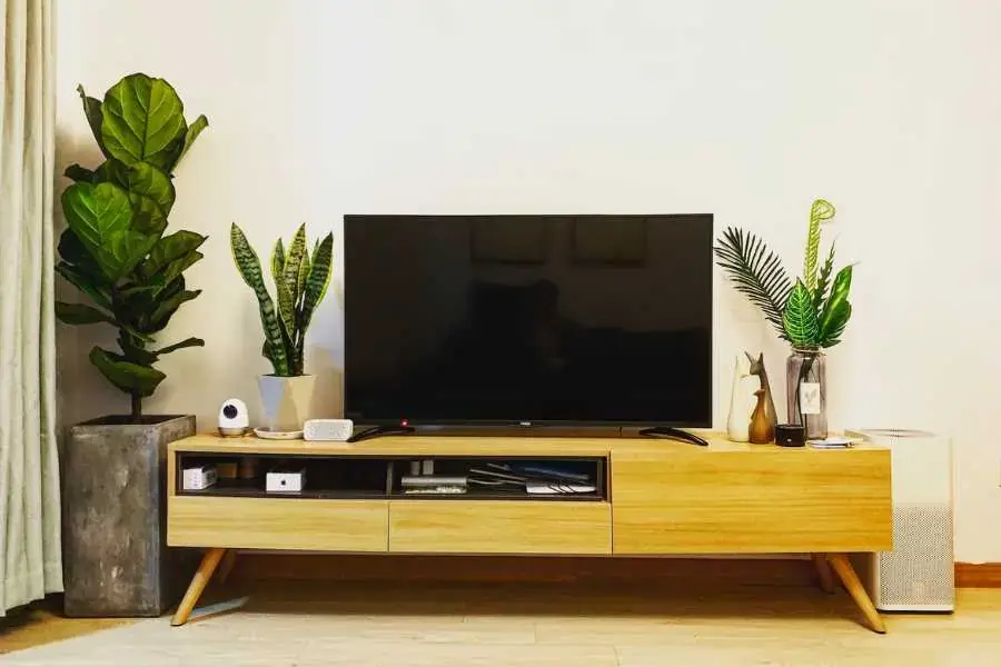 Mẫu kệ tivi phong cách hiện đại trang trí với cây xanh