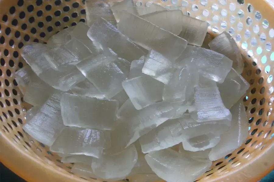 Cắt nha đam thành các khúc nhỏ
