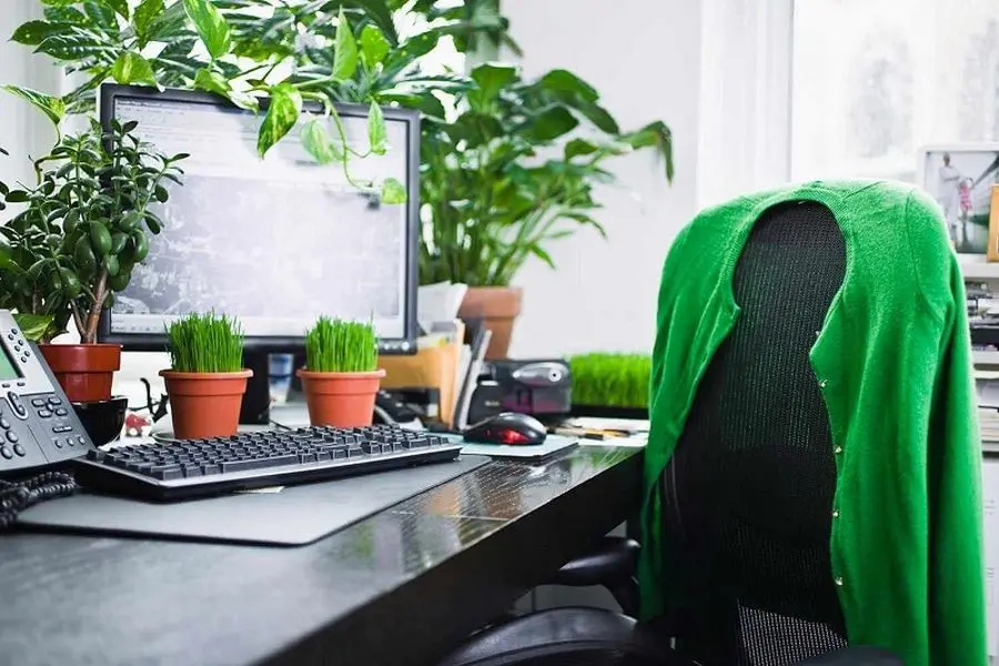 Trang trí bàn làm việc cho người mệnh Mộc