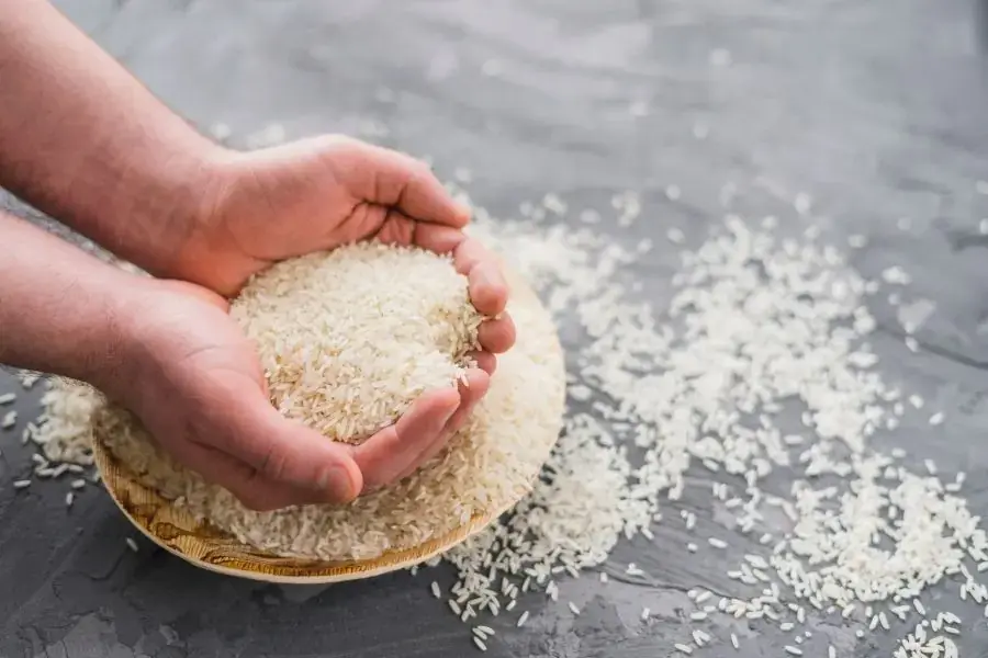 Dùng gạo để làm giày nhanh khô