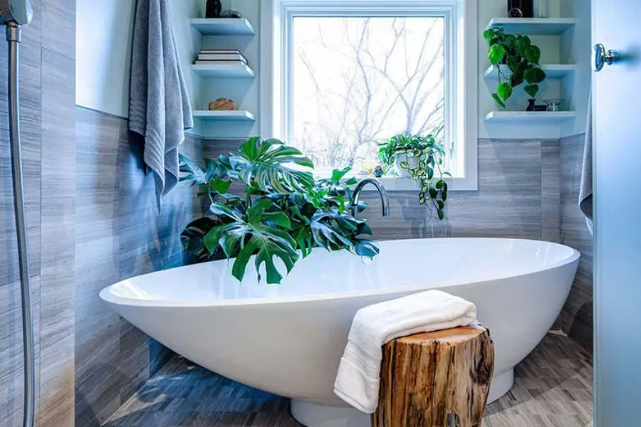 Đặt cây xanh bên cạnh cửa sổ trong phòng tắm.