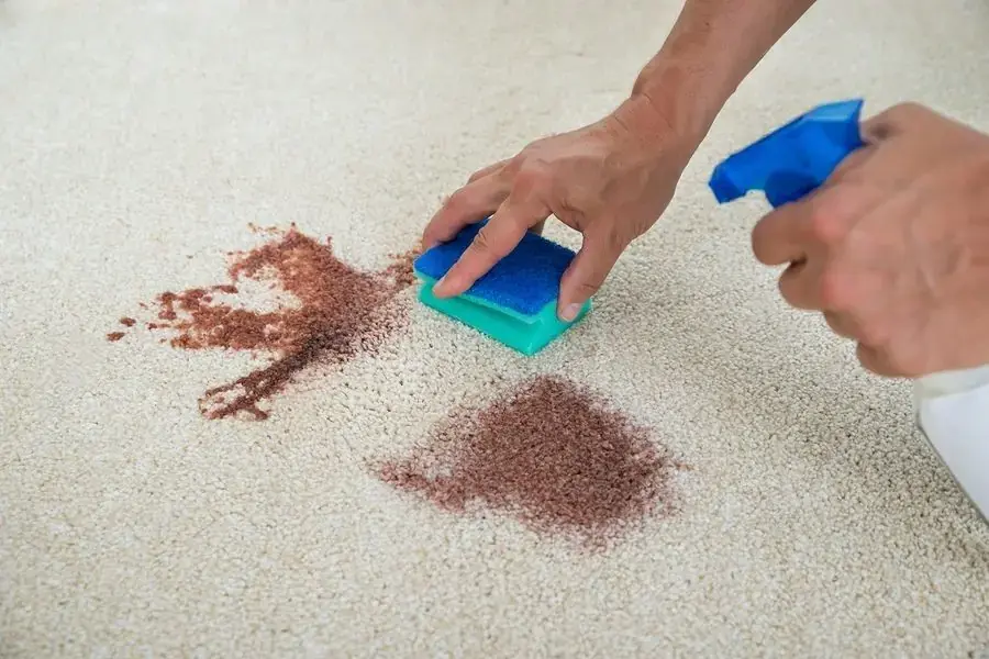 Vệ sinh vết bận ngay lập tức