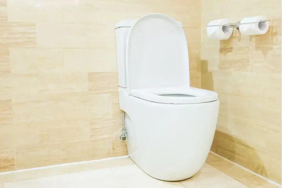 Nên vệ sinh bồn cầu thường xuyên để loại bỏ vi khuẩn, virus