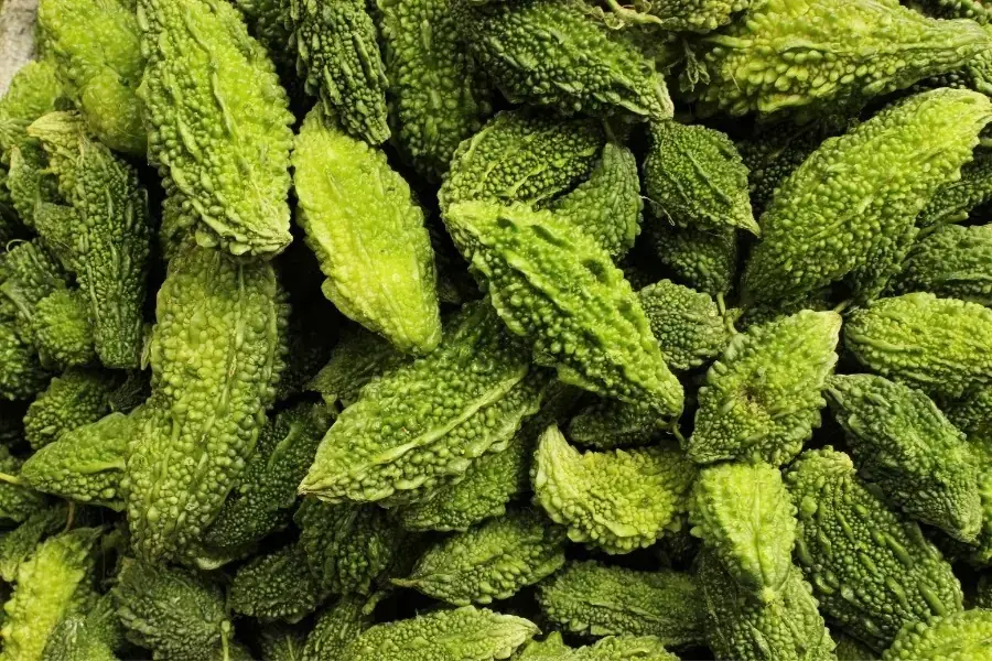 Quả mướp đắng
