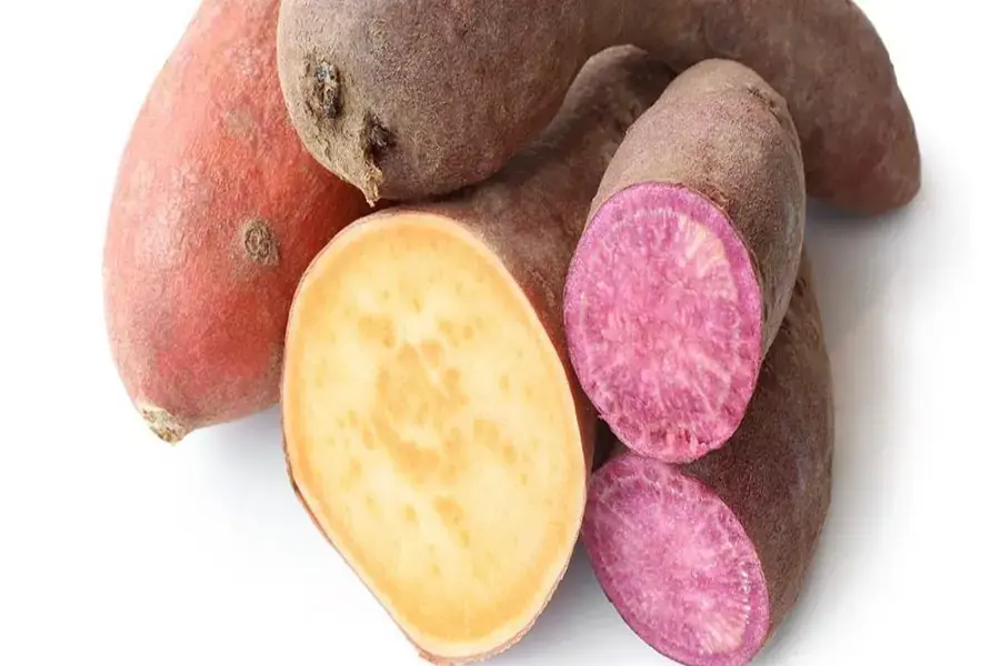 Có nhiều loại khoai lang khác nhau 