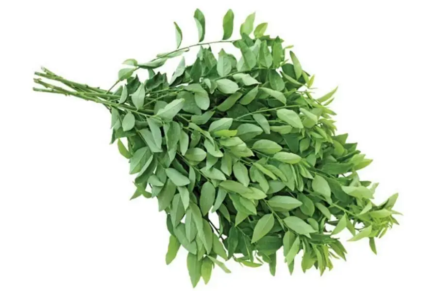 Bó rau ngót tươi ( nguồn: Orfarm )