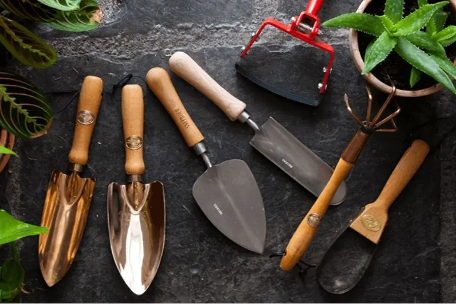bộ dụng cụ trồng cây nha đam trong đất