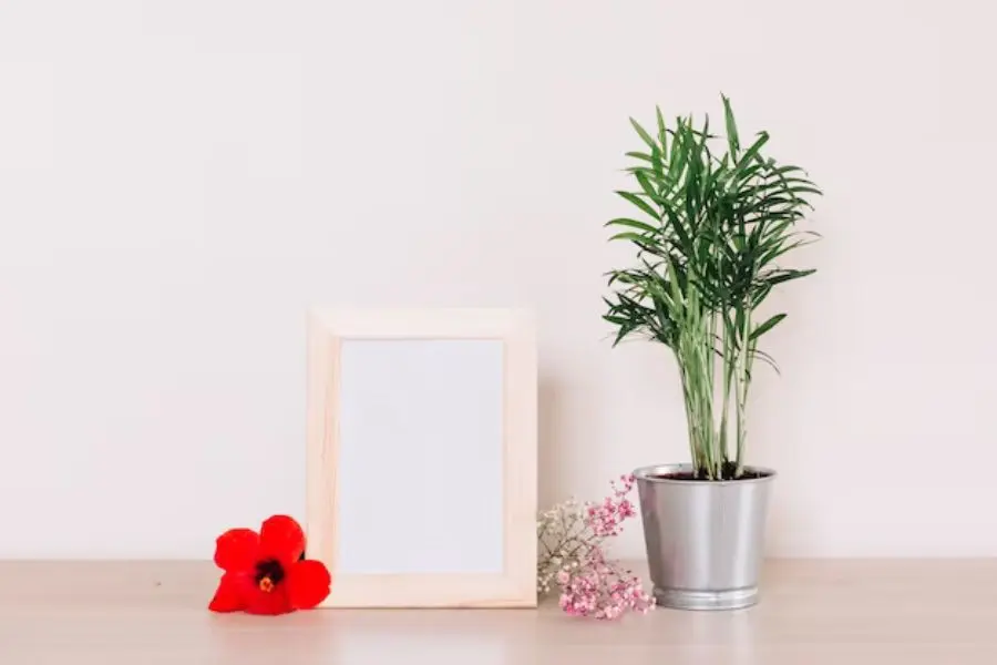 Khung ảnh để bàn sẽ lưu giữ kỷ niệm của nhân viên cùng công ty.