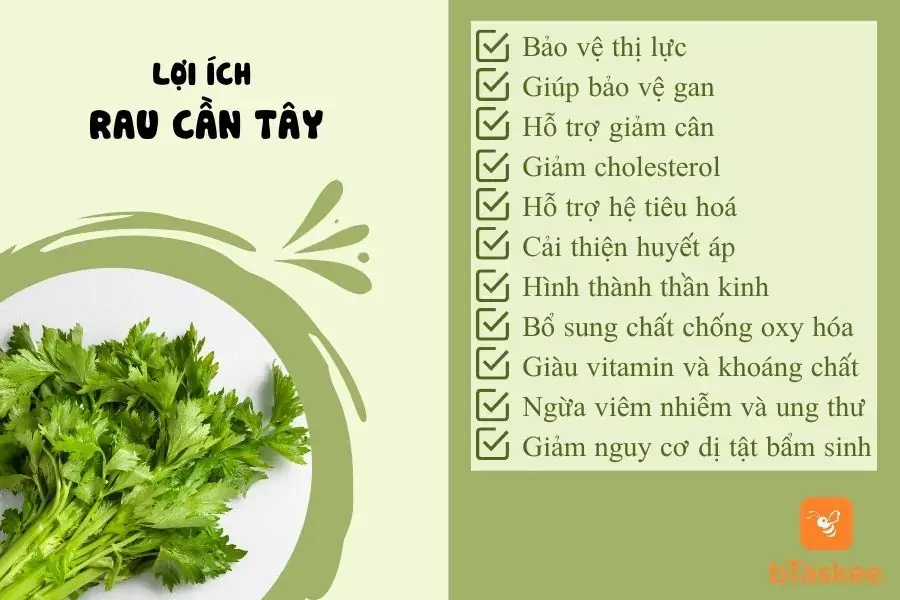 Lợi ích sức khỏe khi sử dụng rau cần tây