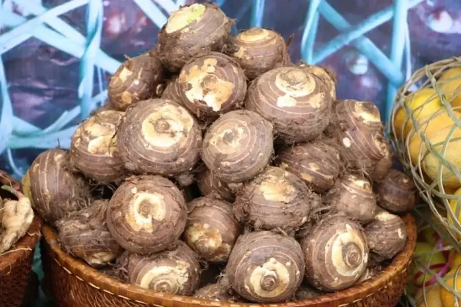 Khoai sọ
