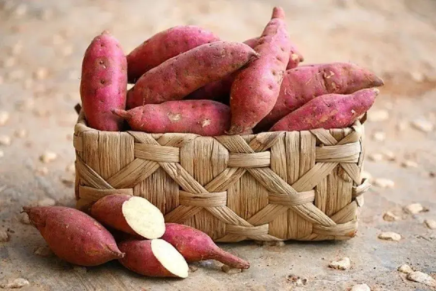Khoai lang cung cấp một lượng lớn chất xơ và vitamin cho cơ thể