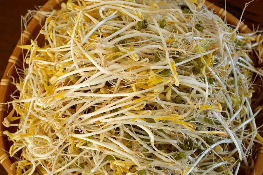 Giá đỗ tươi ngon