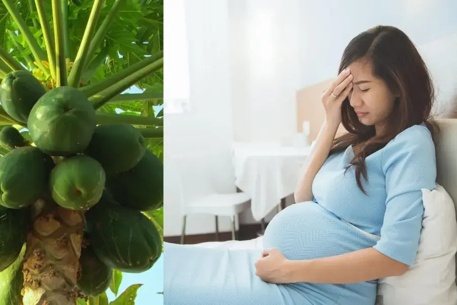 Phụ nữ có thai không được ăn đu đủ xanh