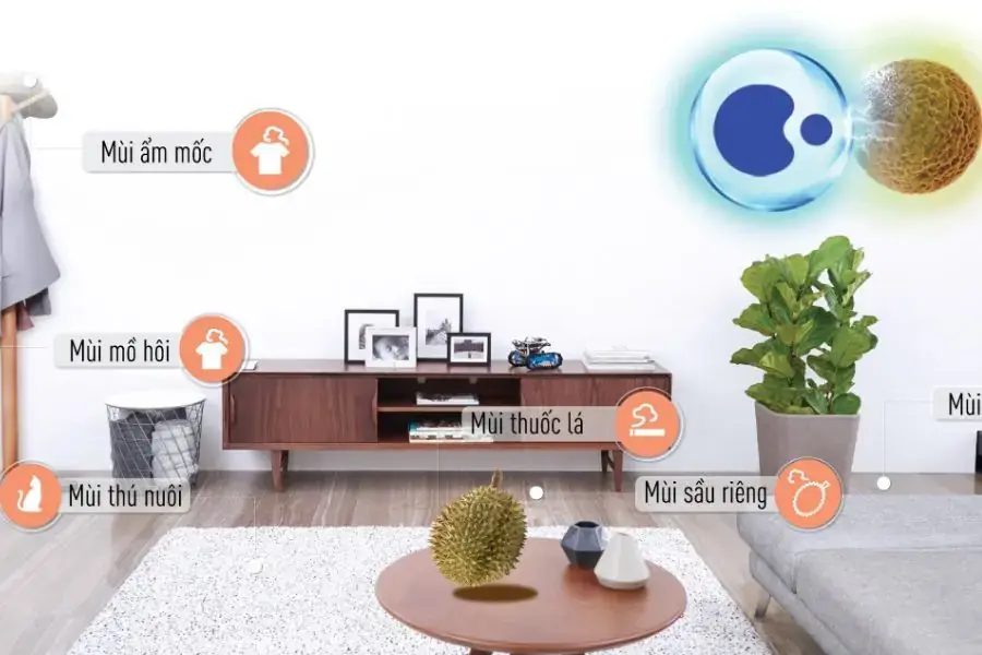 Có khả năng vô hiệu hóa nấm mốc để bảo vệ sức khỏe cho cả gia đình