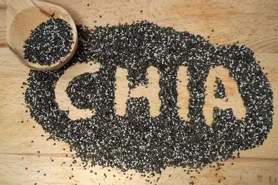Hạt chia chứa nhiều chất dinh dưỡng cần thiết cho cơ thể