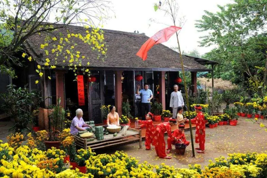 Trang trí sân nhà ngày Tết bằng những chậu hoa vạn thọ