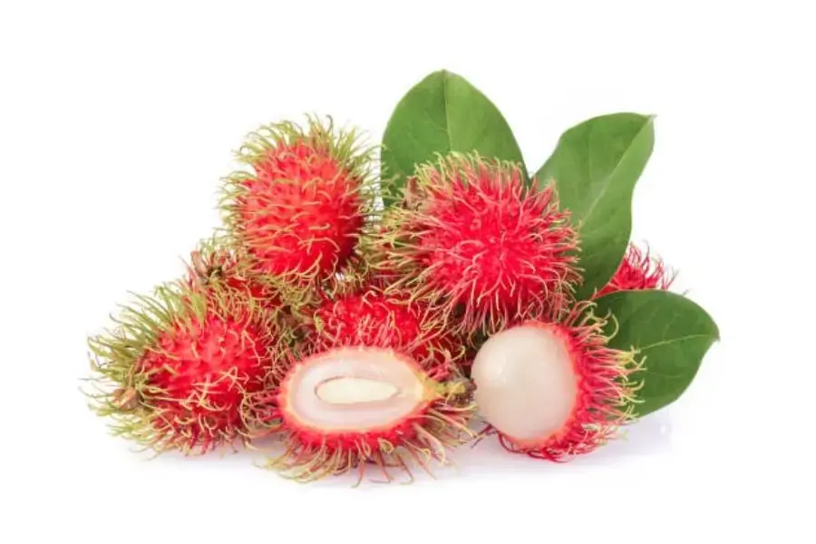 Quả chôm chôm có một lớp lông mềm, được phủ xung quanh lớp vỏ mỏng màu đỏ hồng hay màu cam nhạt