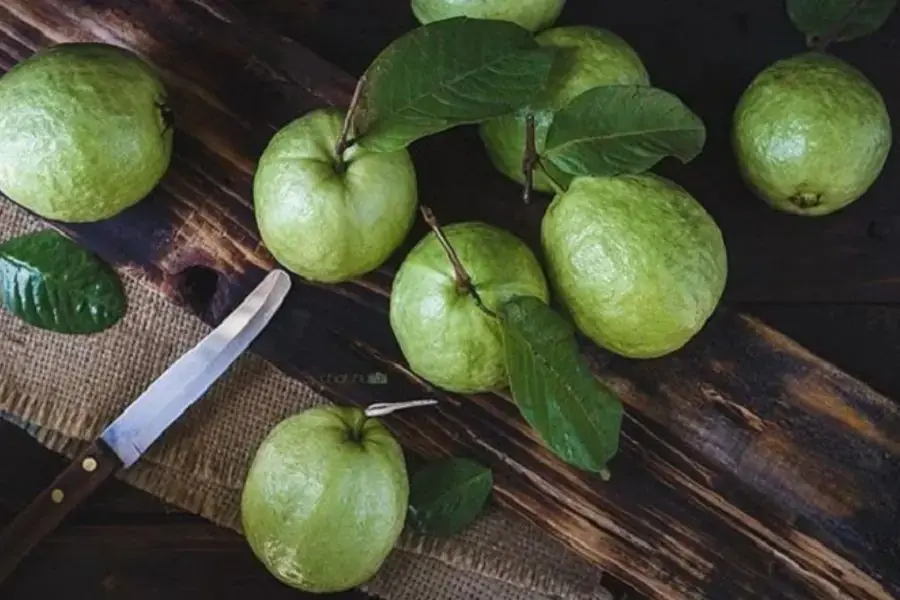 Tác dụng của ổi đối với sức khỏe