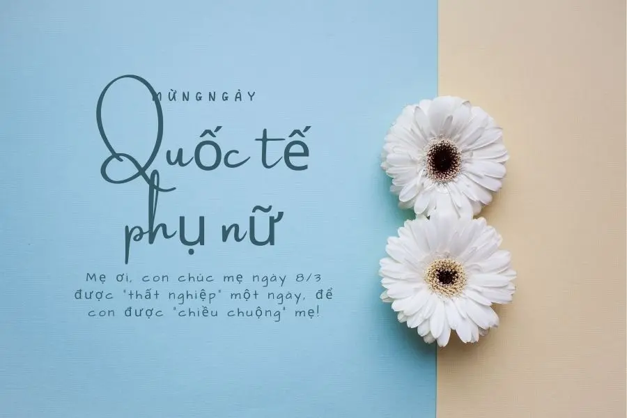 Gợi ý một số lời chúc 8/3 cho mẹ phong cách hài hước và hóm hỉnh.