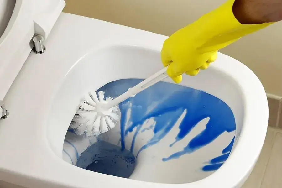 Đổ trực tiếp nước tẩy bồn cầu vào và dùng cọ để chà sạch (nguồn: Phụ kiện THM)