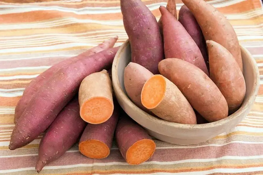 Nên chế biến khoai lang để giảm chất béo 