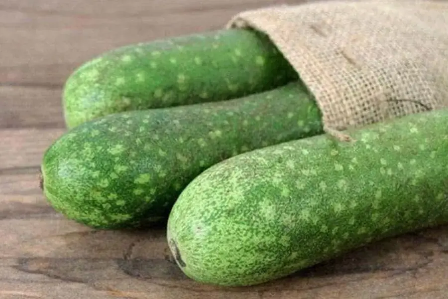 Bảo quản bí đao