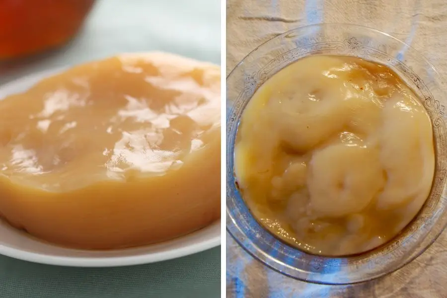 Cách phân biệt con giống Scoby tốt và xấu.