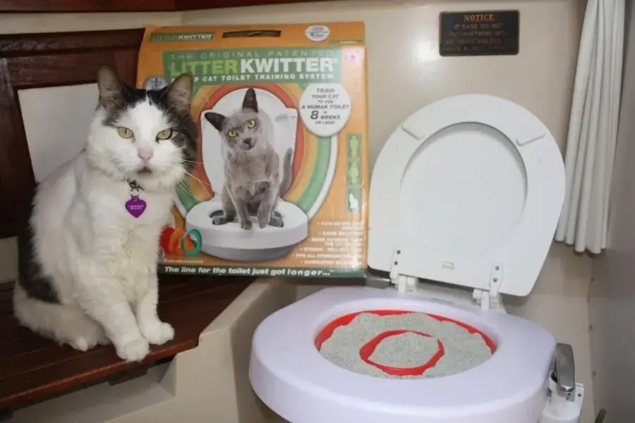 Bộ dụng cụ huấn luyện mèo đi vệ sinh Litter Kwitter