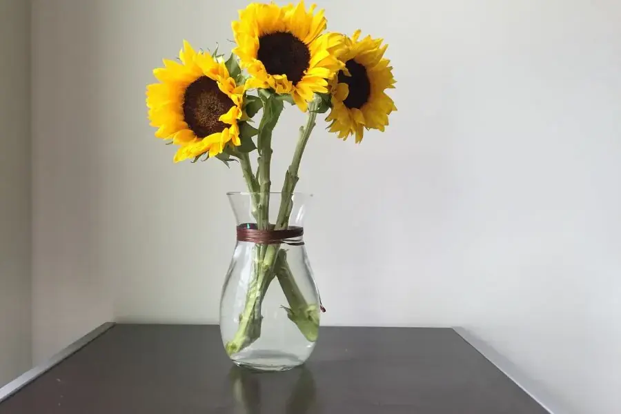 Cắm hoa hướng dương đơn giản