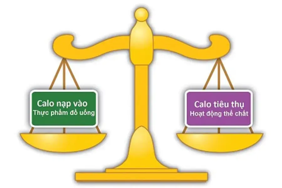 Can bằng lượng calo có trong thực đơn giảm cân trong 1 tháng 