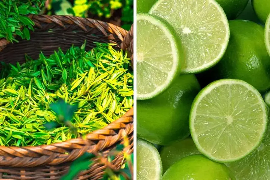 Uống nước chanh giảm cân kết hợp cùng trà xanh thanh mát, giảm mỡ thừa tích tụ