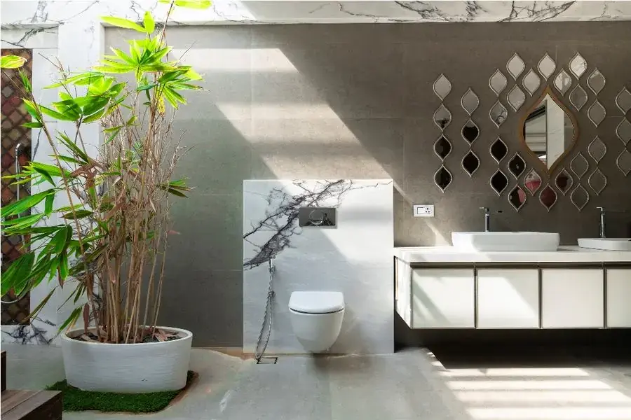 Nên lựa chọn giống cây trồng tốt và vị trí trang trí thích hợp