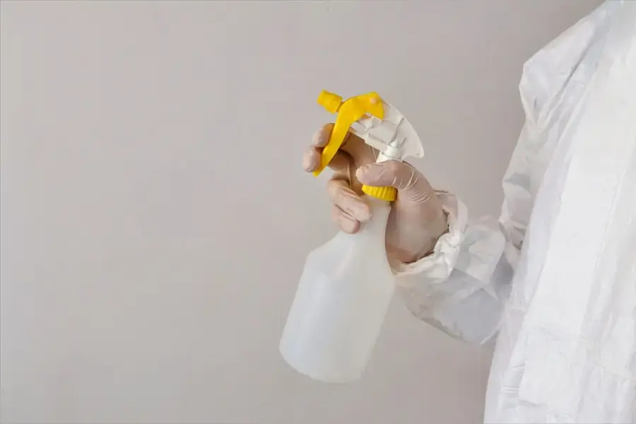Không những cách đuổi mèo ra khỏi nhà mà còn là cách trị mèo ị bậy