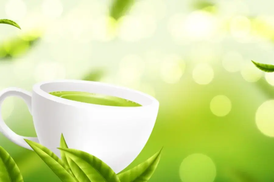 Trà xanh thanh nhiệt, giải độc giảm mỡ thừa