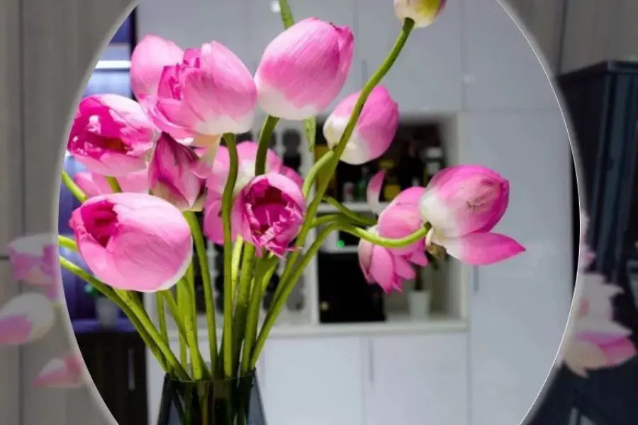 Cắm gánh hoa sen hồng duyên dáng chỉ với 4 bước đơn giản và nhanh chóng.