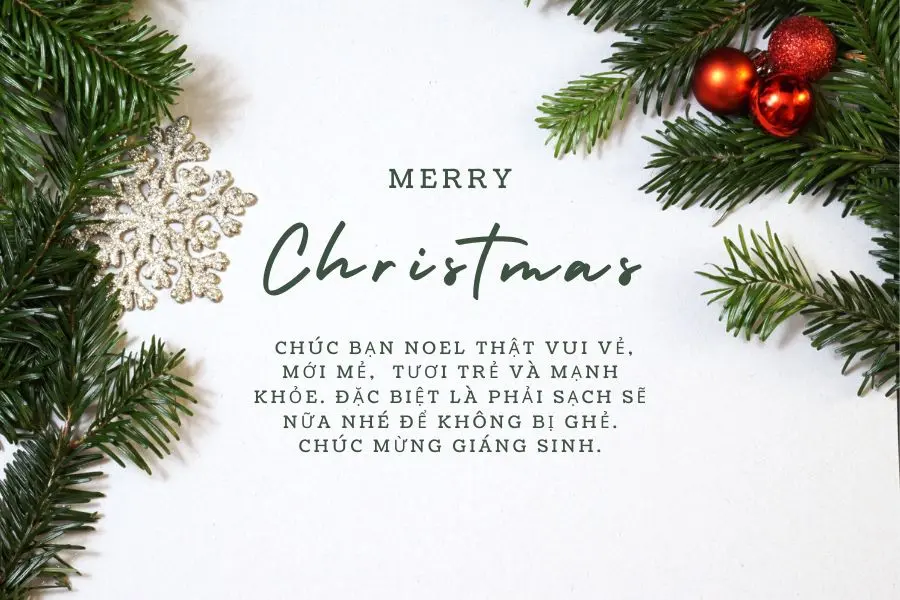 Câu chúc Giáng Sinh hài hước dành cho bạn bè thân thiết.